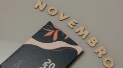 Feriados de novembro